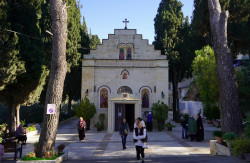 jarek1 
Gornienski Monastery 
2018-12-28 20:01:58