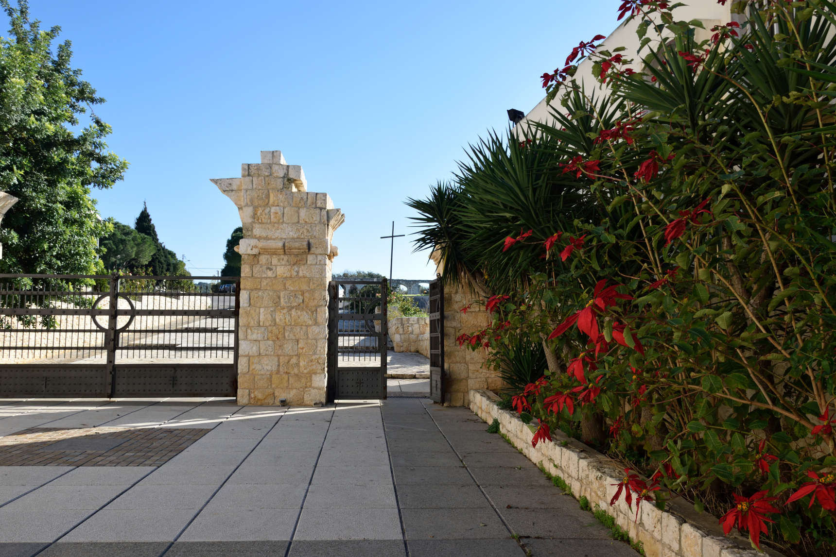 Poinsettia next to the gate of the Balamand Monastery