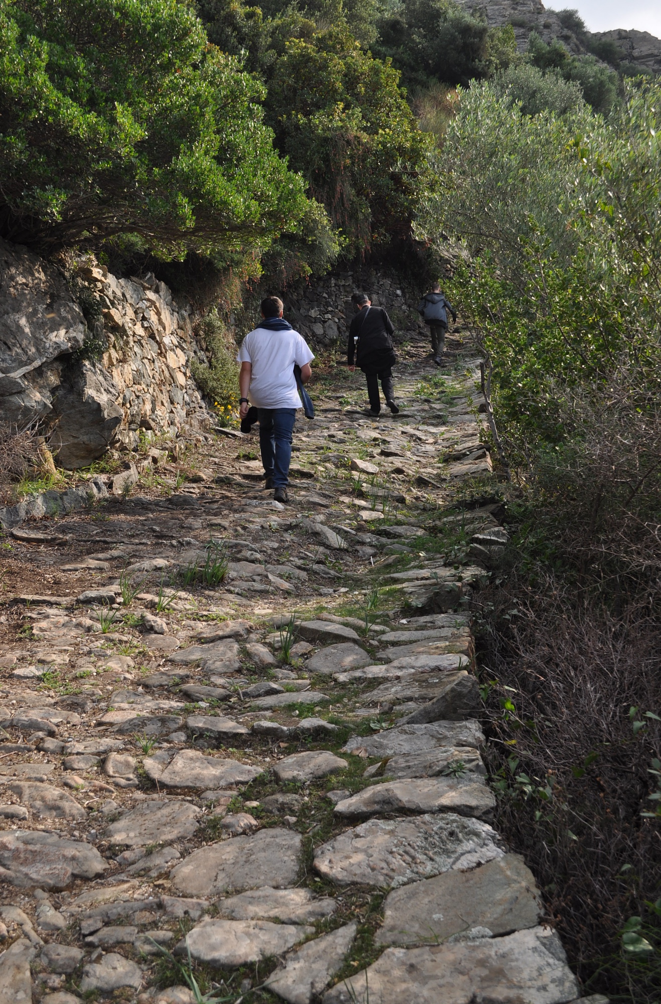МОНАСТЫРЬ СИМОНОПЕТР - Ιερά Μονή Σίμωνος Πέτρα - Monastery Simonos Petras