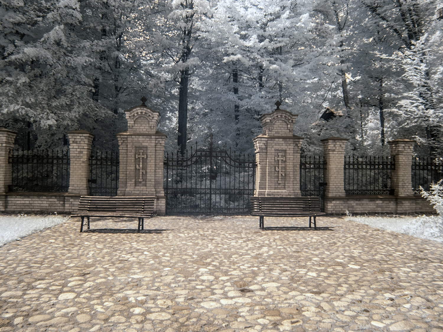 mind gates
