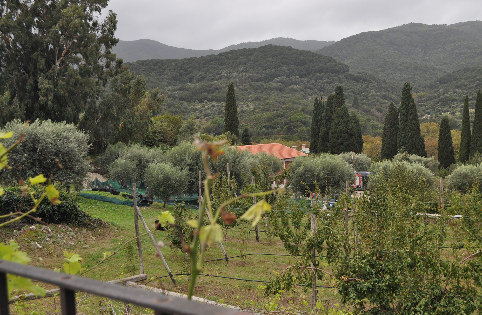 Ιερά Μονή ΒΑΤΟΠΕΔΙΟΥ - Holy Monastery of VATOPEDION - Монастырь Ватопед