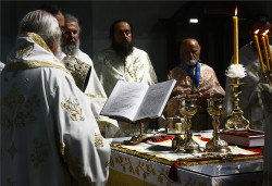 felix 
На Литургији - At the Liturgy 
2019-01-01 01:10:44