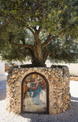jarek1 
Jerusalem. Ascension Greek Orthodox Convent 
2019-01-06 20:40:33