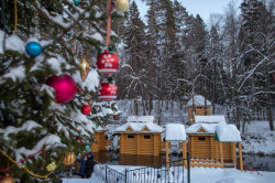 AlexandraP 
Святой источник прп. Серафима Саровского 
2019-01-07 17:31:14
