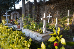 jarek1 
Russian Convent of Apostle St. Peter and the Tomb of St Tabitha in Jaffa 
2019-01-09 21:14:28