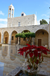 Sheep1389 
Poisenttia - monastery Sayyidat An-Nouriyyeh 
2019-01-10 11:54:12