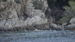 bogdan 
 
2019-01-10 15:23:58