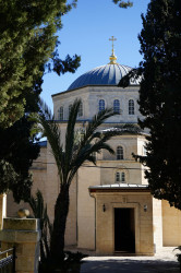 jarek 
Jerusalem. Russian Orthodox Ascension Convent.  
2019-01-14 20:39:37