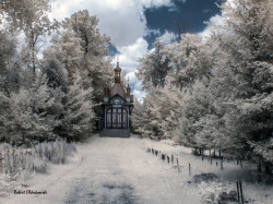 roko1967 
walking on the infrared - part two 
2019-01-15 00:05:12