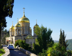 jarek1 
Gornienski Convent in Jerusalem 
2019-01-16 20:47:33