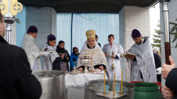 Photographyalexx 
Chrzest Pański 
2019-01-20 20:08:33