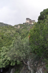 bogdan 
МОНАСТЫРЬ СИМОНОПЕТР - Ιερά Μονή Σίμωνος Πέτρα - Monastery Simonos Petras 
2019-01-24 13:15:02
