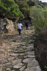 bogdan 
МОНАСТЫРЬ СИМОНОПЕТР - Ιερά Μονή Σίμωνος Πέτρα - Monastery Simonos Petras 
2019-01-26 18:15:14