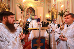 jarek1 
Names day of His Beatitude Metropolitan Sawa 
2019-01-26 22:26:16