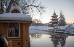 AlexandraP 
В Цыгановке 
2019-01-30 10:52:44