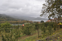 bogdan 
Ιερά Μονή ΒΑΤΟΠΕΔΙΟΥ - Holy Monastery of VATOPEDION - Монастырь Ватопед 
2019-01-30 12:02:04