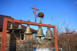 jarek11 
Zaleszany 
2019-01-31 21:45:57