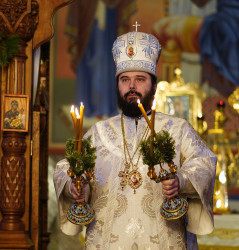 jarek1 
Bishop Andrew 
2019-02-05 23:33:07