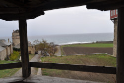 bogdan 
Ιερά Μονή ΙΒΗΡΩΝ - Holy Monastery of IVIRON - Монастырь Ивер 
2019-02-06 14:24:16