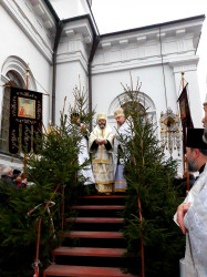 Pawelwaniuk00 
Chrzest Pański 2019 
2019-02-11 10:37:36