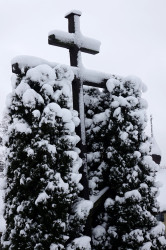 jarek11 
A cross... 
2019-02-12 22:56:51