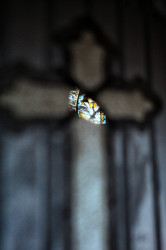 ArtemiJ 
For, behold, through the Cross joy has come into all the world.  
2019-02-25 20:44:00
