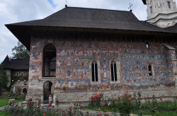 bogdan 
Mănăstirea MOLDOVIŢA 
2019-02-28 16:22:38
