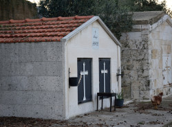 Sheep1389 
Grób i kura w regionie Al-Kura 
2019-03-04 10:08:34