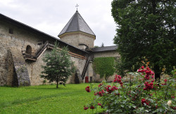 bogdan 
Mănăstirea SUCEVIŢA 
2019-03-06 12:15:27