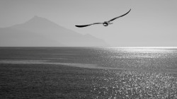 waldemar 
Towards mount Athos 
2019-03-07 15:35:34