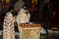 Sheep1389 
Blessing of kolivo - Balamand monastery 
2019-03-16 11:18:52