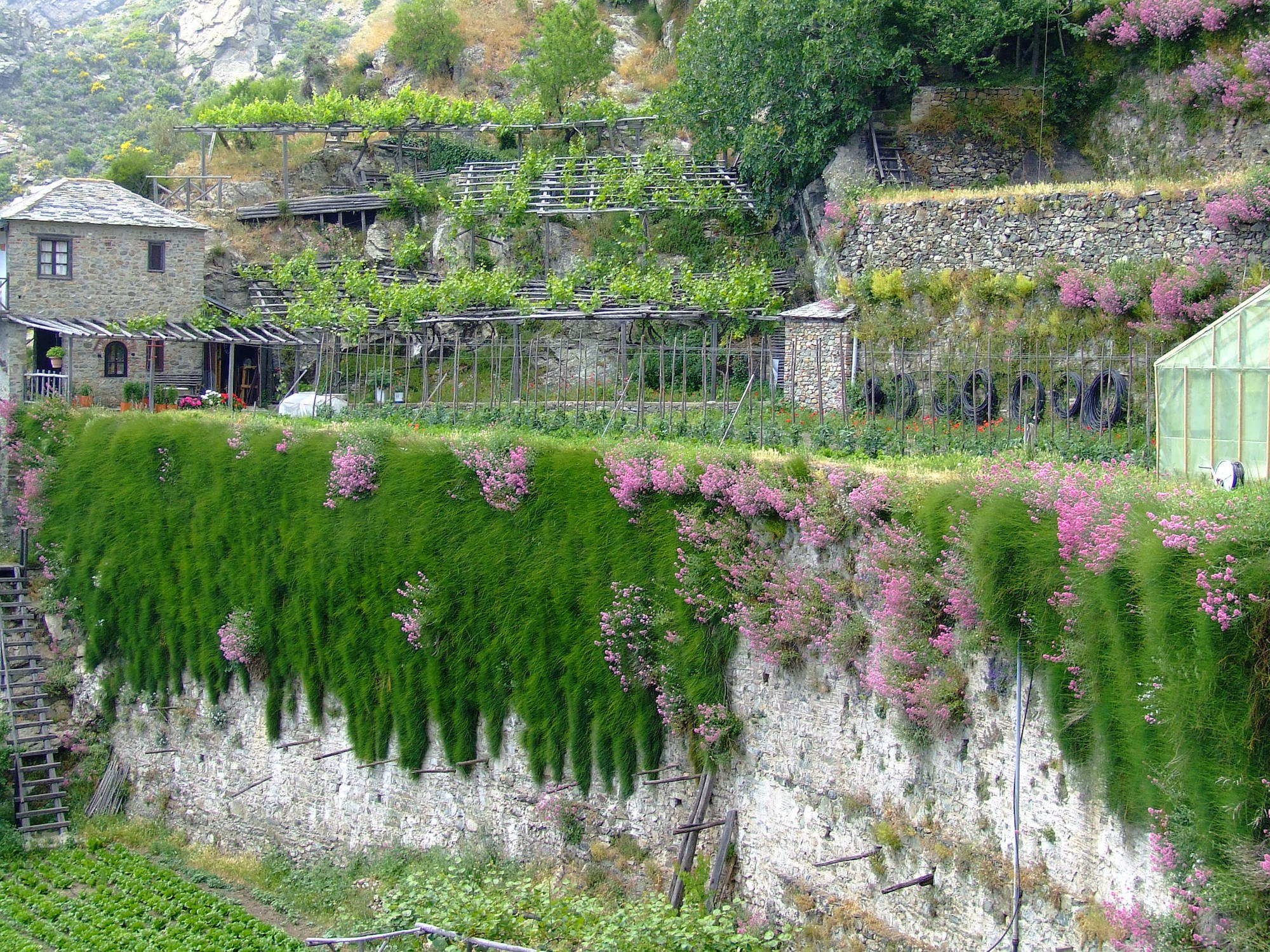 Mt. Athos Simonopetra