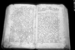 ArtemiJ 
Personal Gospel Book of F.M Dostoevsky 
2019-04-12 18:48:16