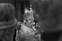 palavos 
Abp Abel 
2019-04-14 20:24:41