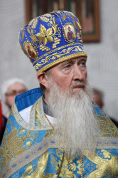 ArtemiJ 
Silver-haired head is a crown of glory 
2019-04-15 11:11:07