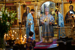 jarek 
Archbishop&#039s blessing... 
2019-04-18 14:19:34