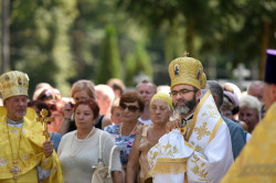 palavos 
Abp Jakub 
2019-04-19 01:29:24