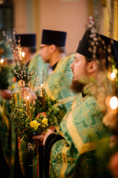 lukasz 
Niedziela Palmowa 
2019-04-21 20:19:59