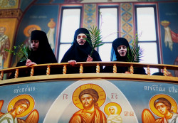 jarek 
Palm Sunday in Zwierki Convent 
2019-04-22 17:13:15