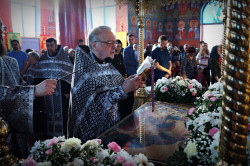 Photographyalexx 
Czytanie ewangelii  
2019-04-26 22:03:09
