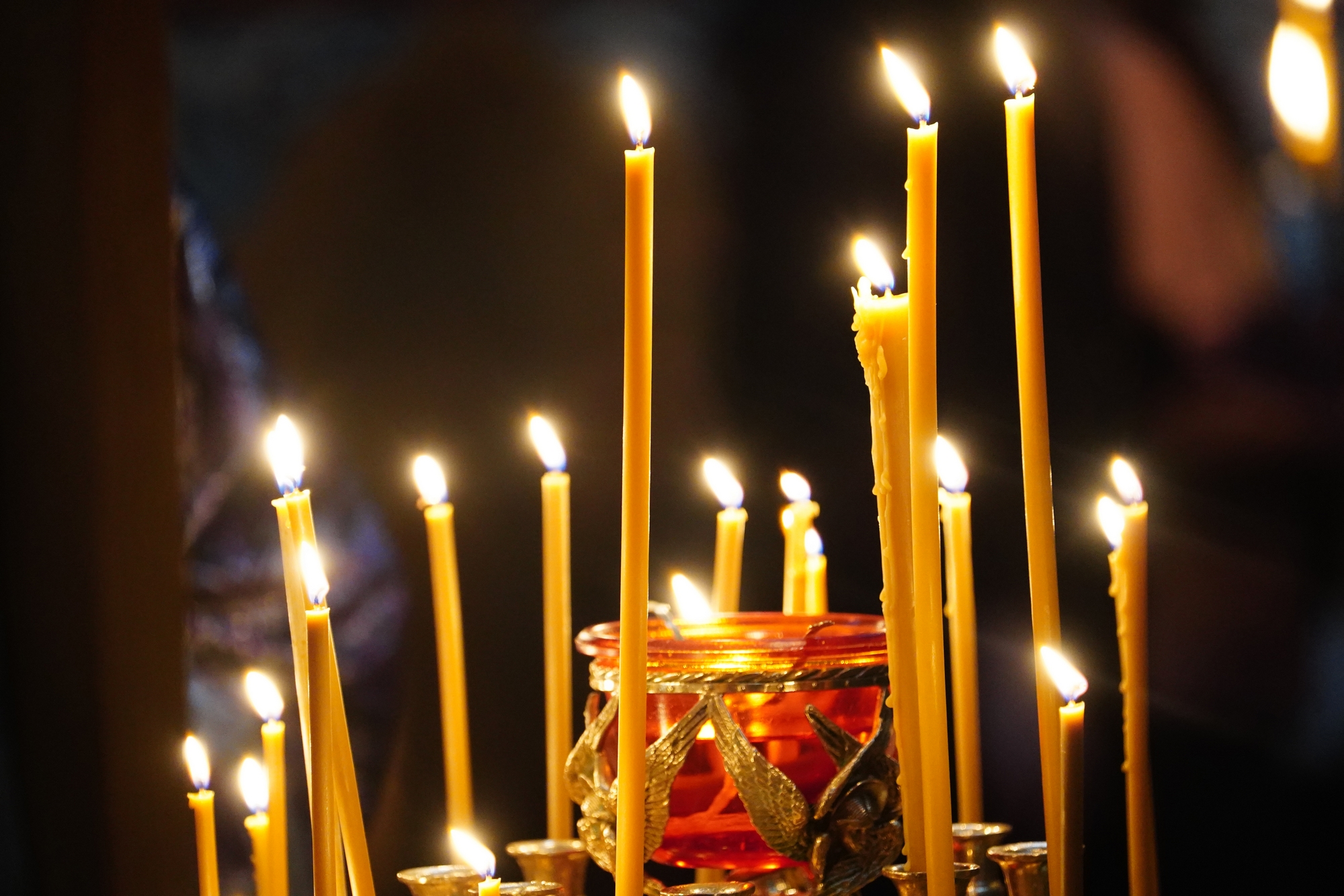 Reading of Twelve Gospels in Zwierki Convent