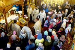 jarek1 
Pilgrimage from Białystok to Zwierki Convent 
2019-05-07 10:20:43