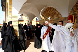 jarek1 
Easter Week in Zwierki Convent 
2019-05-11 21:12:18