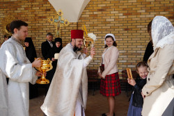 jarek1 
Easter Week in Zwierki Convent 
2019-05-19 13:28:27