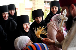 jarek11 
Apostle Thomas Sunday in Zwierki Convent 
2019-05-19 13:34:05