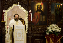 Sheep1389 
Reading of the Paschal letter from Antioch 2019 
2019-05-23 23:55:17