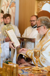lukasz 
Święcenia diakonatu subdiakona Igora Kutovego 
2019-05-24 22:28:43