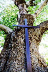 jarek11 
Trikokiotissa Mother of God Monastery 
2019-05-27 20:36:34