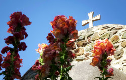 jarek11 
In Mavrovouni Monastery 
2019-05-29 20:38:33