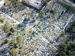 jarek1 
The All Saints Orthodox cementary in Białystok 
2019-06-03 06:55:41